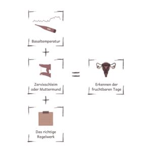 So funktioniert die NFP-Methode