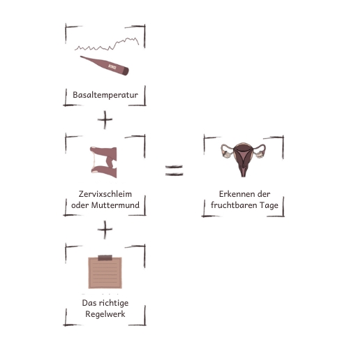 So funktioniert die NFP-Methode
