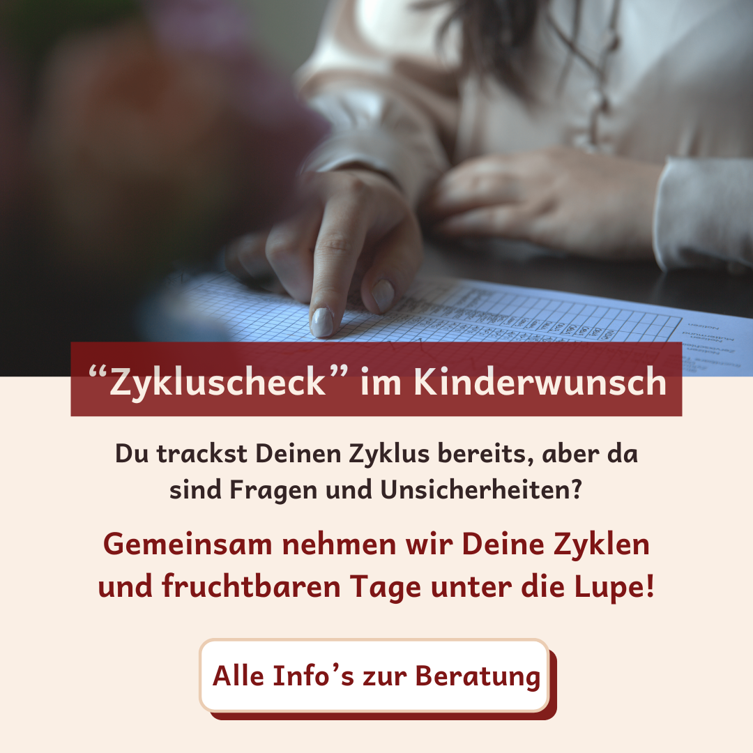 11 Ganzheitlicher NFP-Kurs I Kinderwunsch-Coaching(31)
