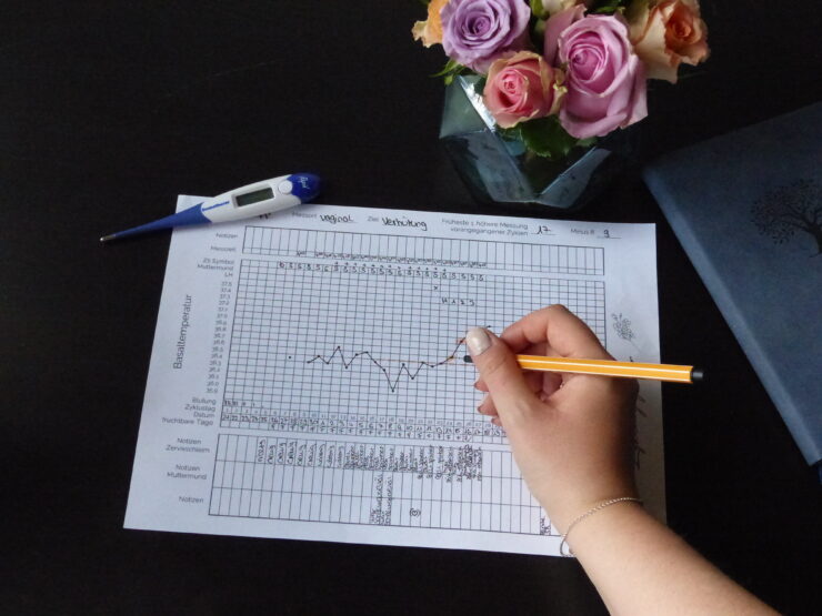 Ein Zyklusblatt zur natürlichen Verhütung